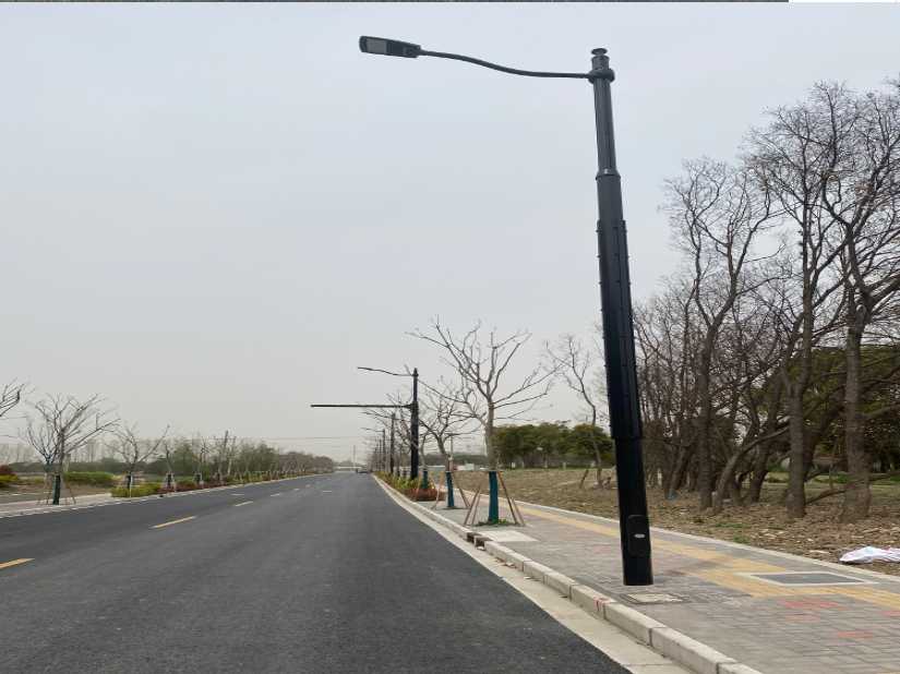 无棣县上海综合杆 太阳能路灯工程